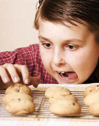 transtorno alimentar da gula