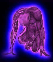 DIABETES MELLITUS (DM)