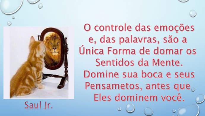 artigo