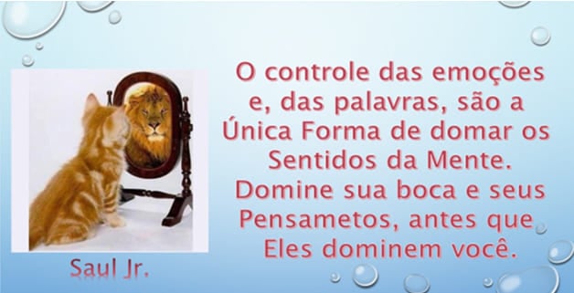 artigo